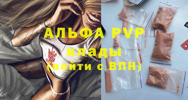 СК Бородино