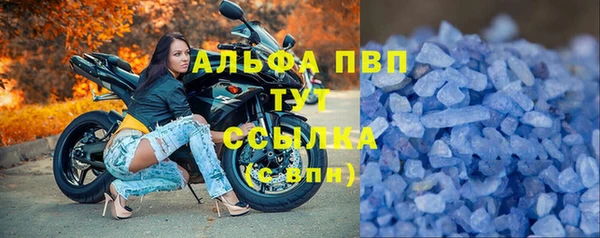 СК Бородино