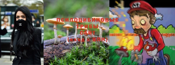 винт Бронницы