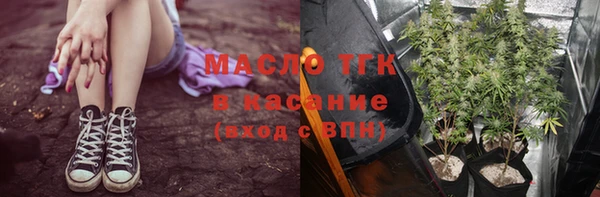 mdpv Богородицк